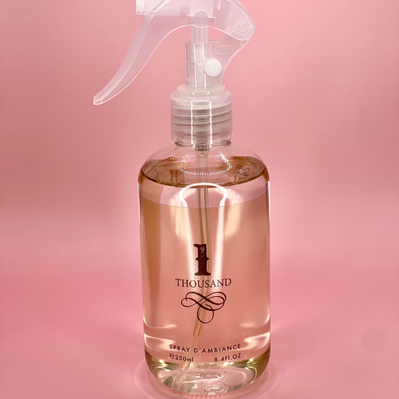 Spray d'Intérieur One Million