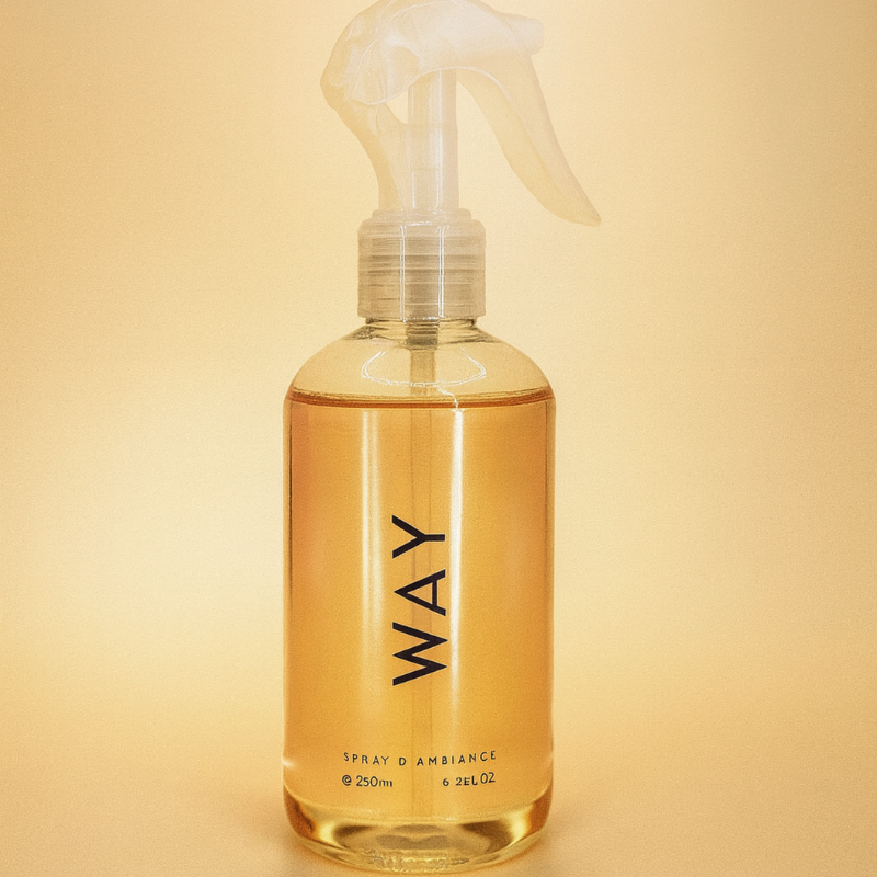 Spray d'Intérieur Way