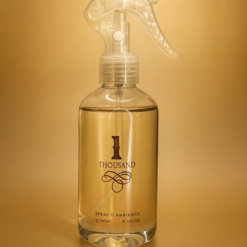 Spray d'Intérieur One Million